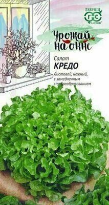 Салат Кредо 0,5 г листовой,темно-зеленый сер. Урожай на окне